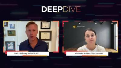 Deep Dive: Into Integrative Veterinary Medicine