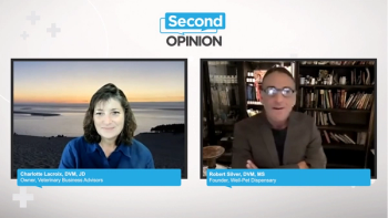 Second Opinion: Being CBD Conscious With Pets