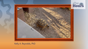 After Hours: Raising Tortoises