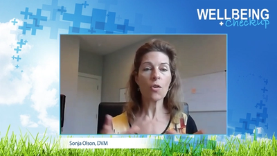 Wellbeing Checkup: The Power of Reframing