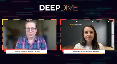 Deep Dive Into: Heatstroke in Horses