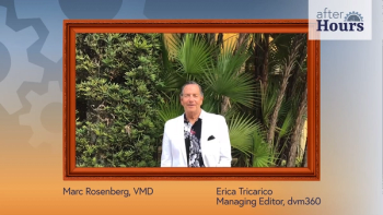 After Hours: Dancing Veterinarian