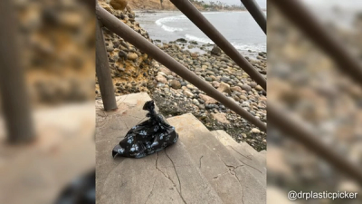 After Hours: Cleaning up the Beach, Planet, and Mind