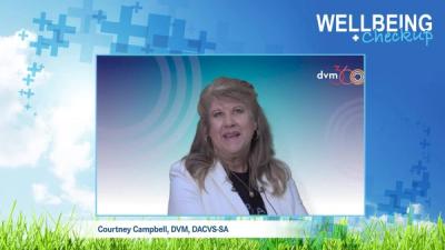 Wellbeing Checkup: Hospitality for Everyone