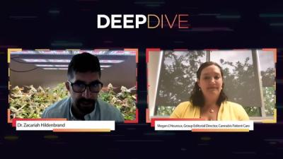Deep Dive: Deep Dive Into Cannabis and Hemp Cultivation Research