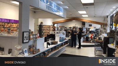 Inside the Practice: Inside COVID Veterinary Protocols