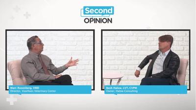 Second Opinion: Telemedicine for Veterinarians