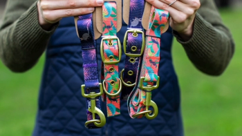 After Hours: Sustainable Pet Products