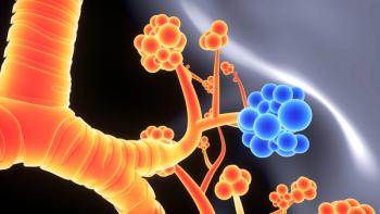 Alveoli of the lungs | Image credit: © microscience  stock.adobe.com