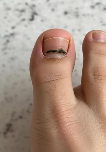  mh-stock@adobe.com (generated with AI)