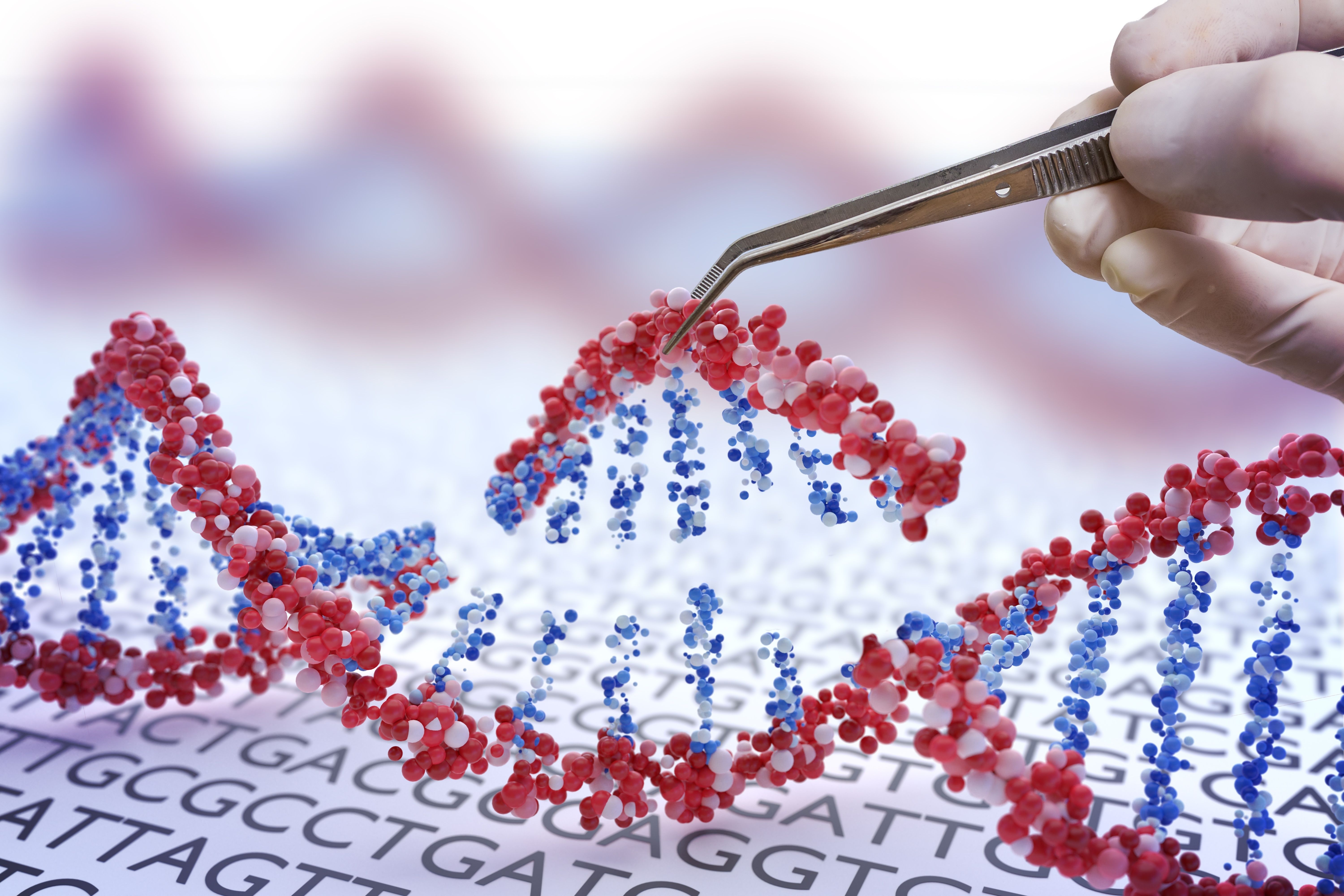 photo illustration tweezers picking apart DNA | Image credit: ©vchaup stock.adobe.com