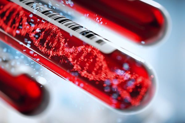 DNA in three test tubes that look like they are holding blood | @Connect world stock.adobe.com