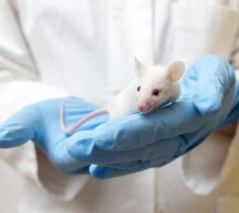 New lean MASH mouse model could guide more targeted liver disease treatment in humans