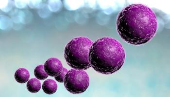 Ezume Images-stock.adobe.com