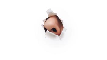 Nose protruding through a hole in white paper | Photo credit: shchus - stock.adobe.com