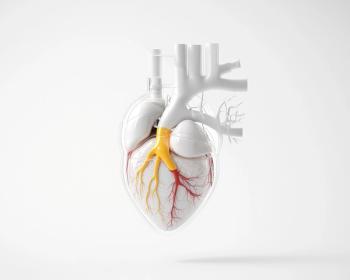heart in white with clogged arteries | image credit: ©CHA stock.adobe.com