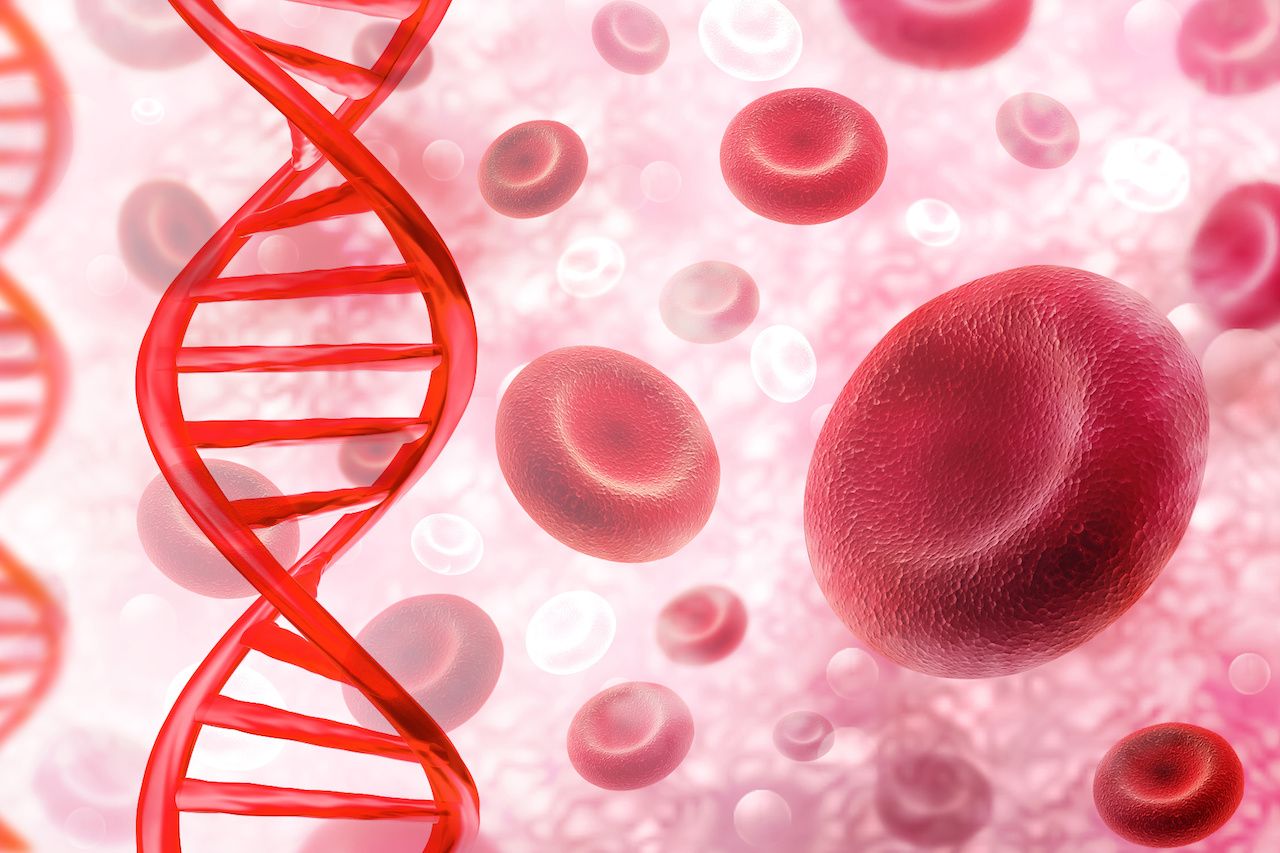Blood cells and DNA strand | Image credit: Crystal light - stock.adobe.com