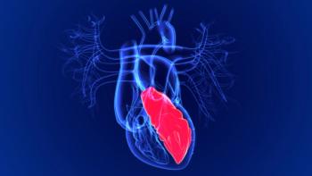 my box_stock.adobe.com