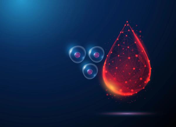 Younger, more mismatched stem cell donors show favorable outcomes in ACCESS trial