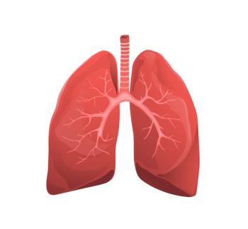 Lung image | image credit: ©popmarieo  stock.adobe.com