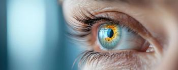 nunoi-stock.adobe.com