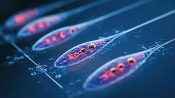 DNA methylation illustration | image credit: © GOU stock.adobe.com