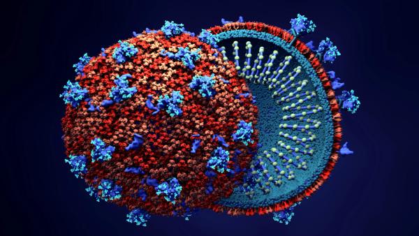 Gilead’s Single-Tablet HIV Regimen Meets Primary Endpoints