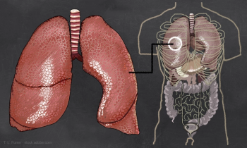 Lung Diagram