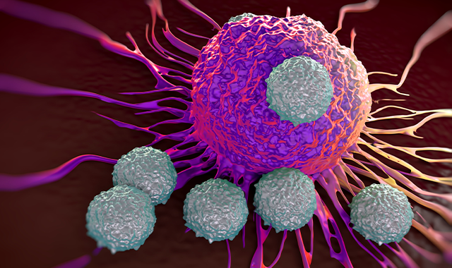 T cells attacking cancer cell