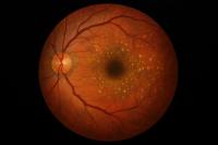 RyujinxRyuken-stock@adobe.com (generated with AI)