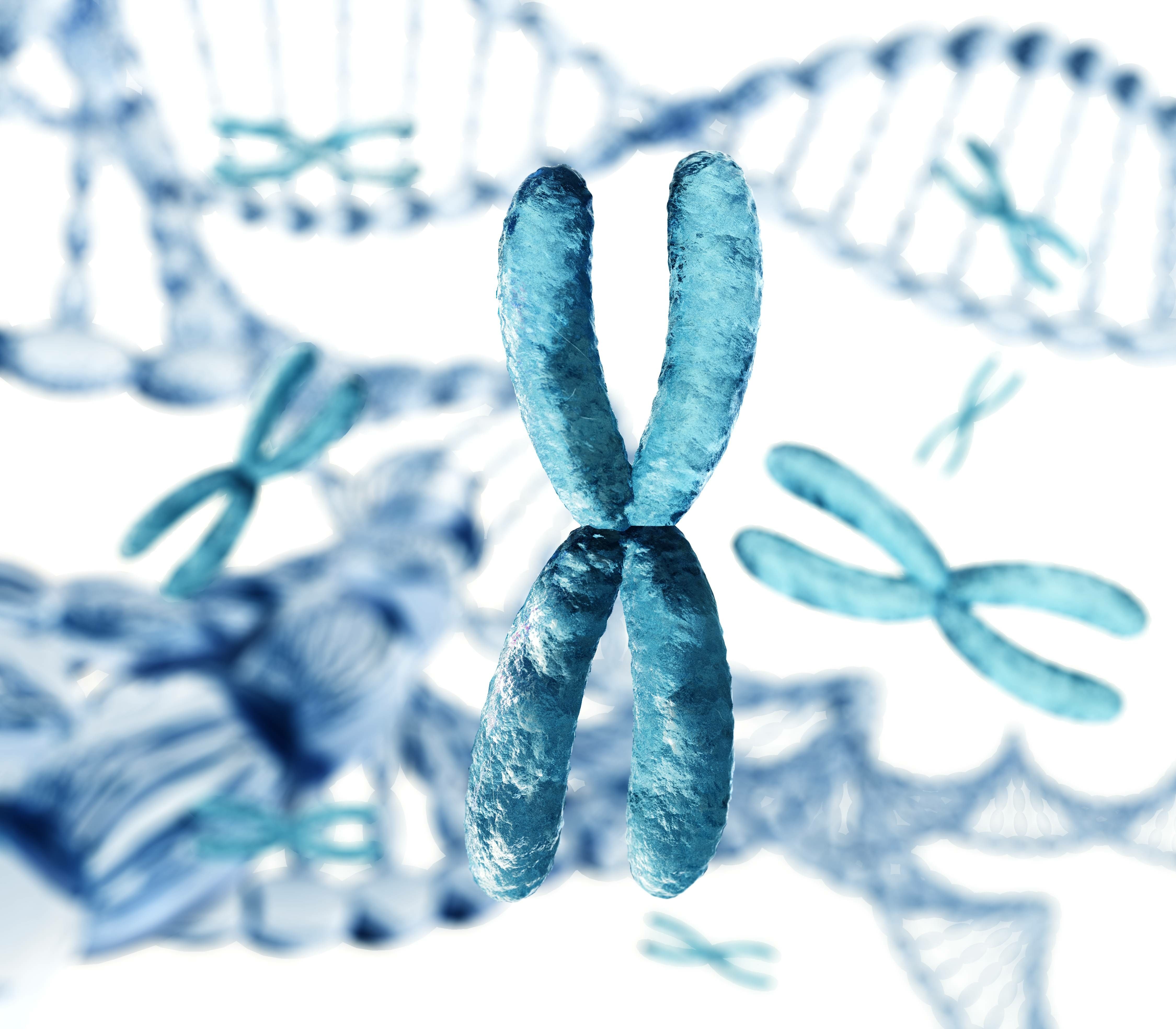 3D Map of Retinal DNA Reveals New Genes Involved in Eye Diseases