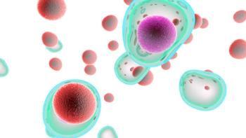 Image credit: @ Giovanni Cancemi