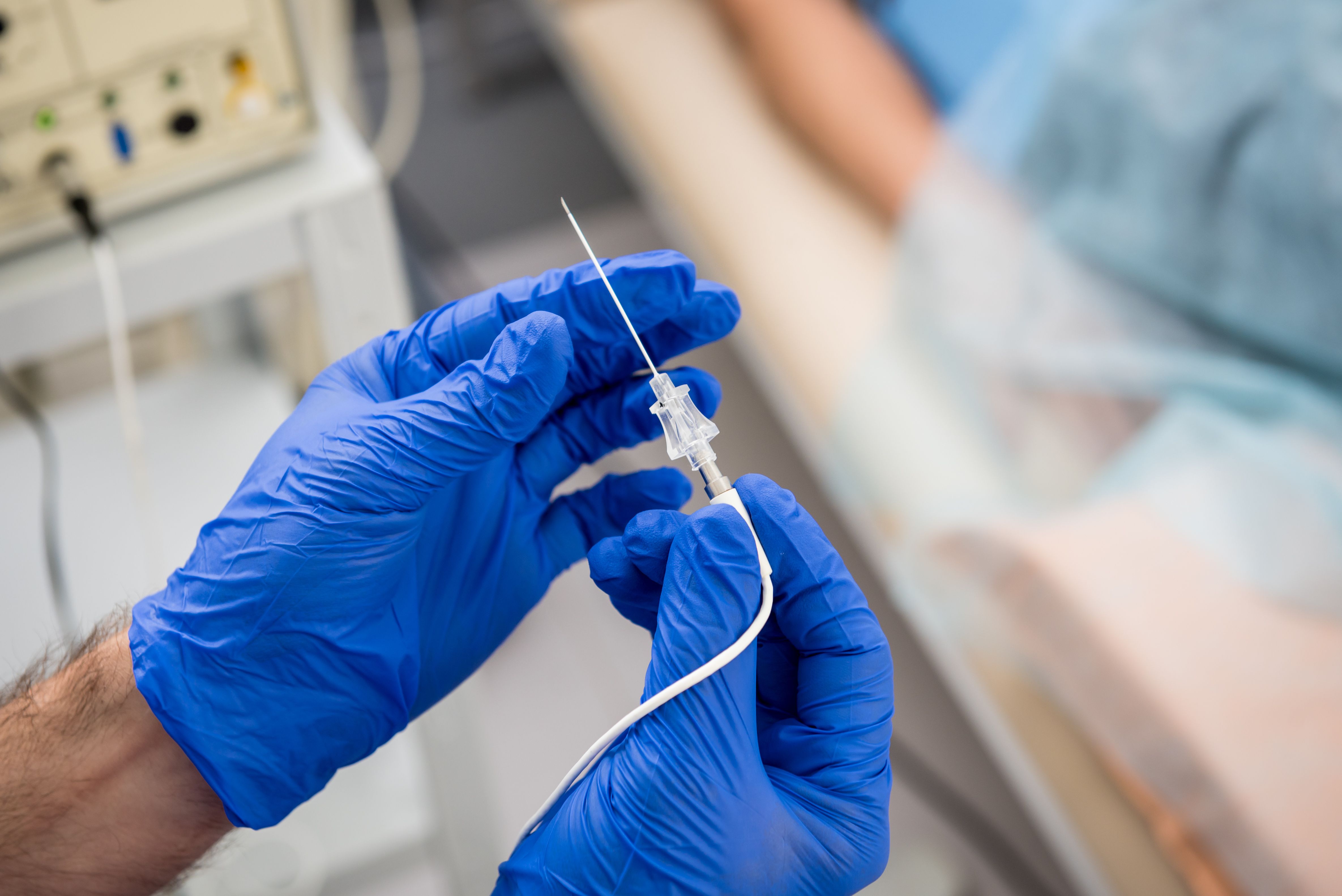 romaset-stock@adobe.com