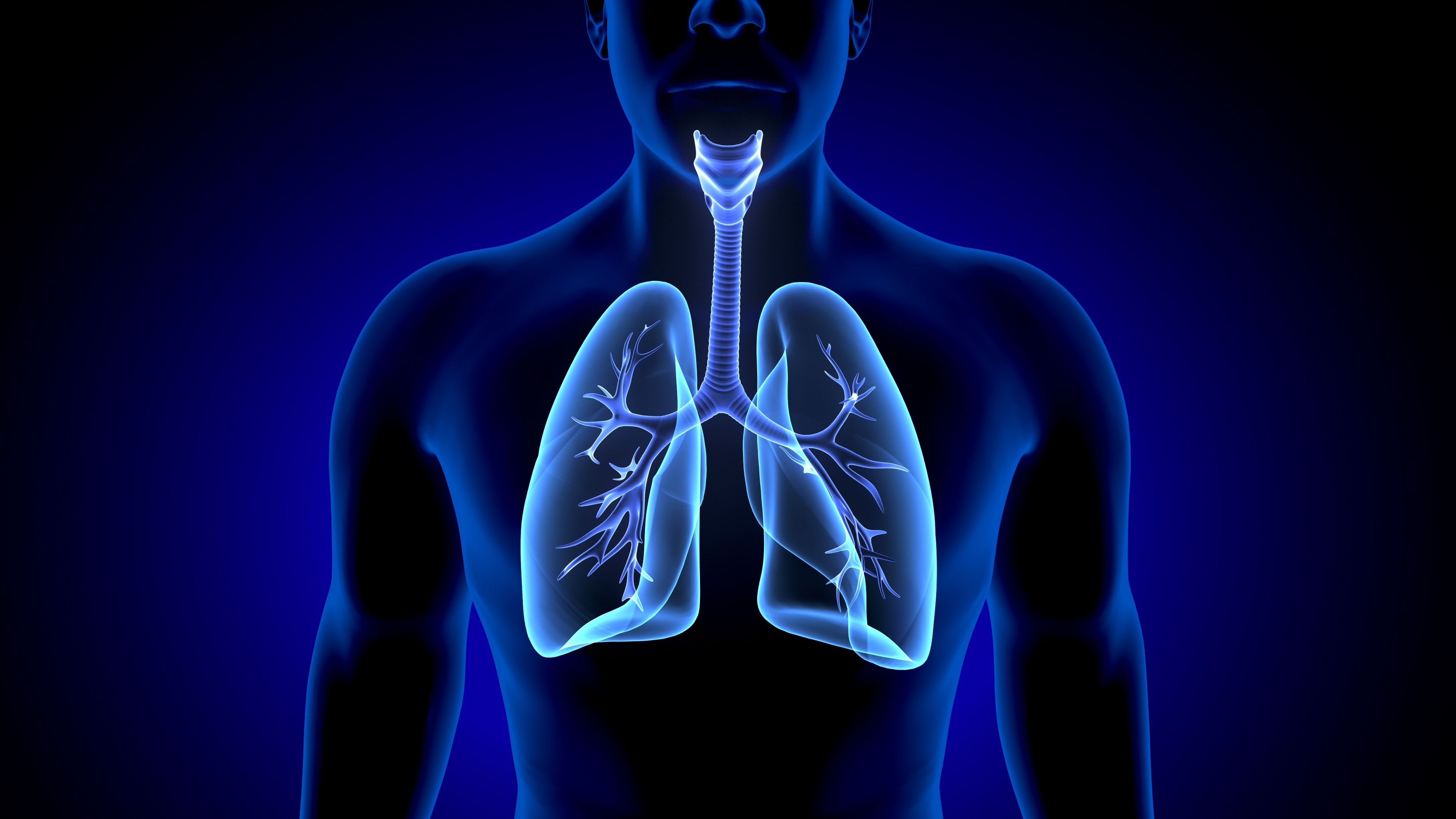 lung illustration in body black background | image credit:©PIC4U stock.adobe.com