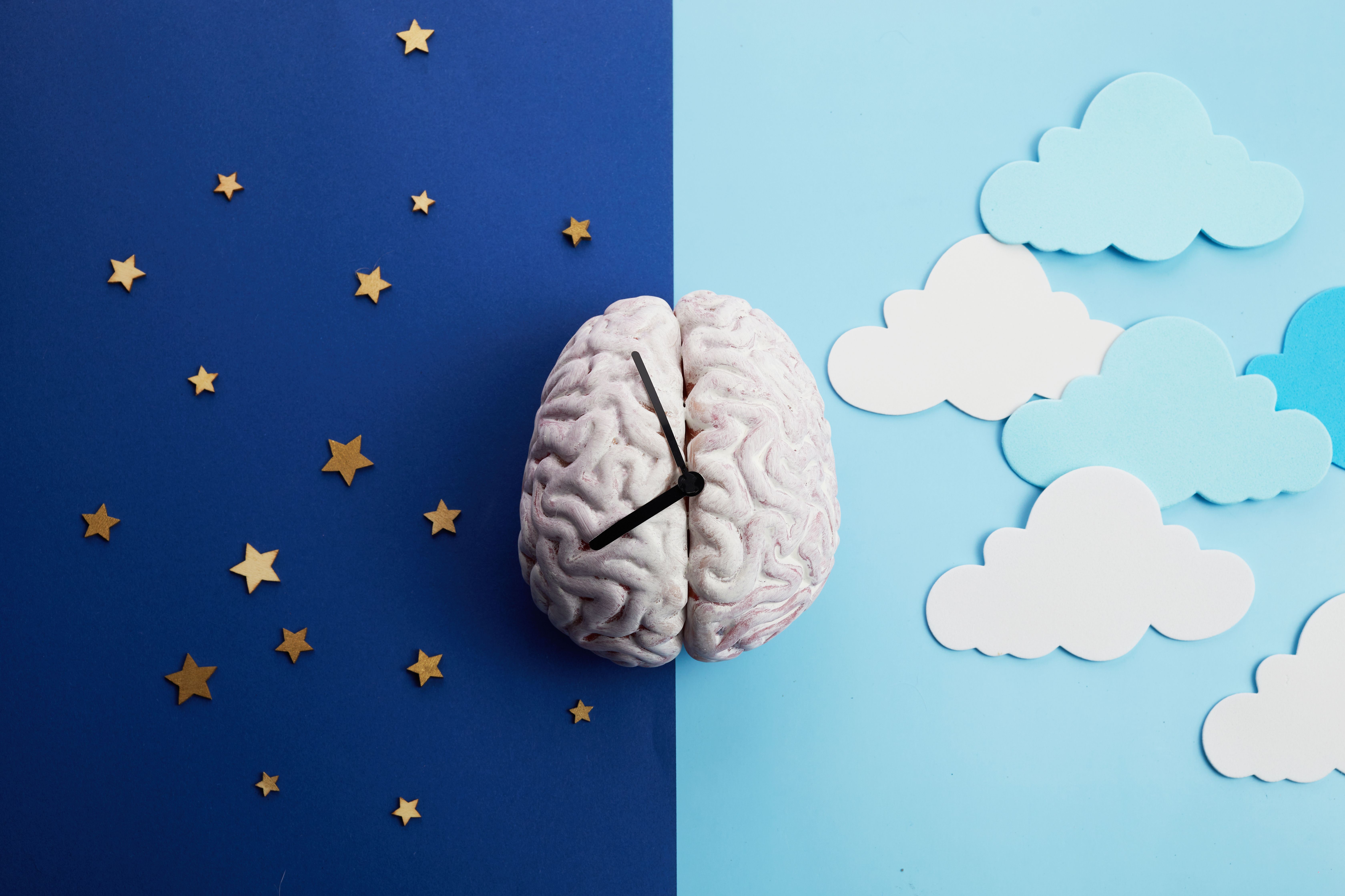 vetre-stock@adobe.com