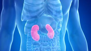 Kidneys highlighted in blue body | Image credit: © Sebastian Kaulitzki stock.adobe.com