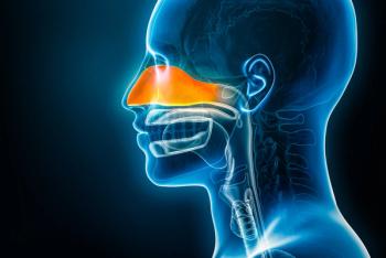 medical image of nasal passage, head facing left with nasal passagge in orange | ©matthieu stock.adobe.com