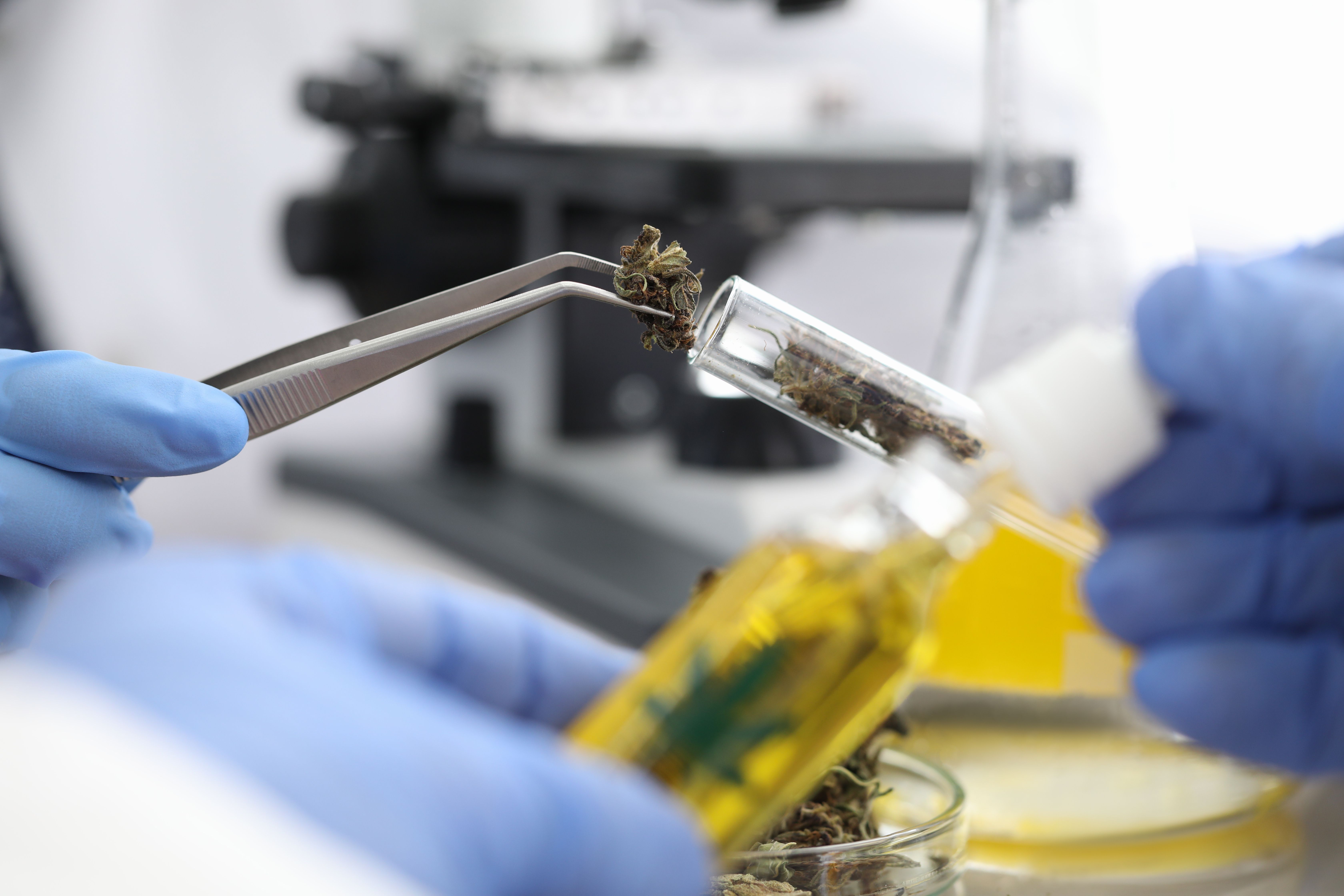 <![CDATA[Opioid and cannabinoid combination showed no added pain relief in knee osteoarthritis, according to a new study]]>