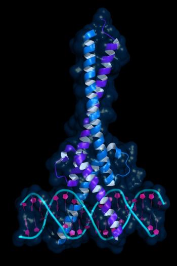 image of myc gene | image credit ©petarg stock.adobe.com