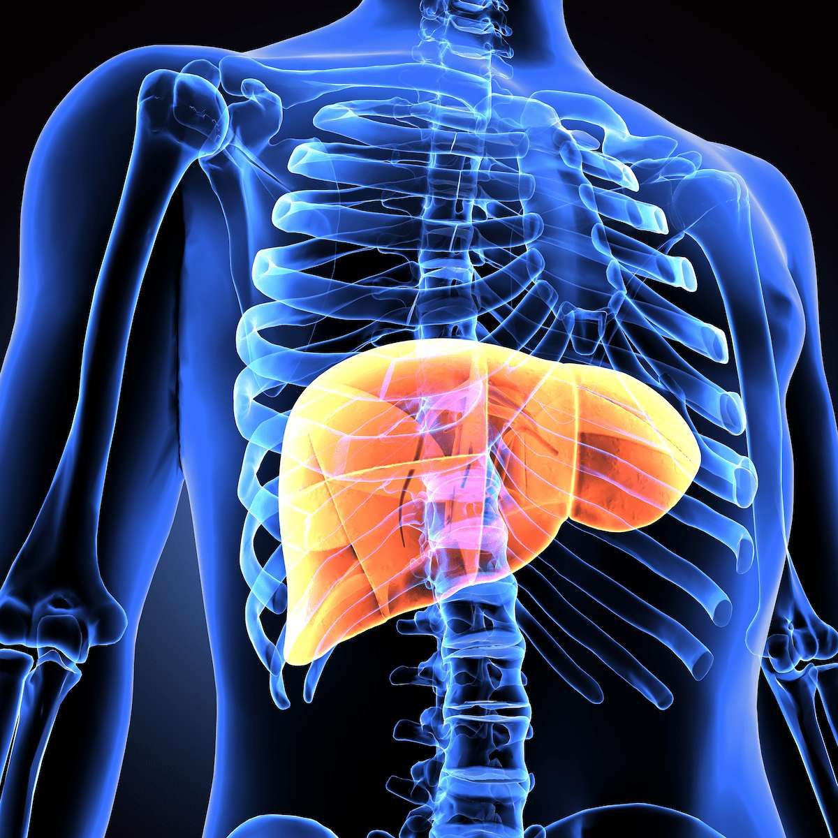 tirzepatide mash phase 3 Eli Lilly's Zepbound improved liver scarring in mid-stage study tirzepatide in mash tirzepatide mash – MASH clinical trials and drugs