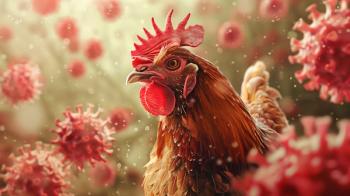© Berit Kessler - stock.adobe.com