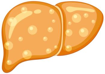 Image credit: GraphicsRF  stock.adobe.com