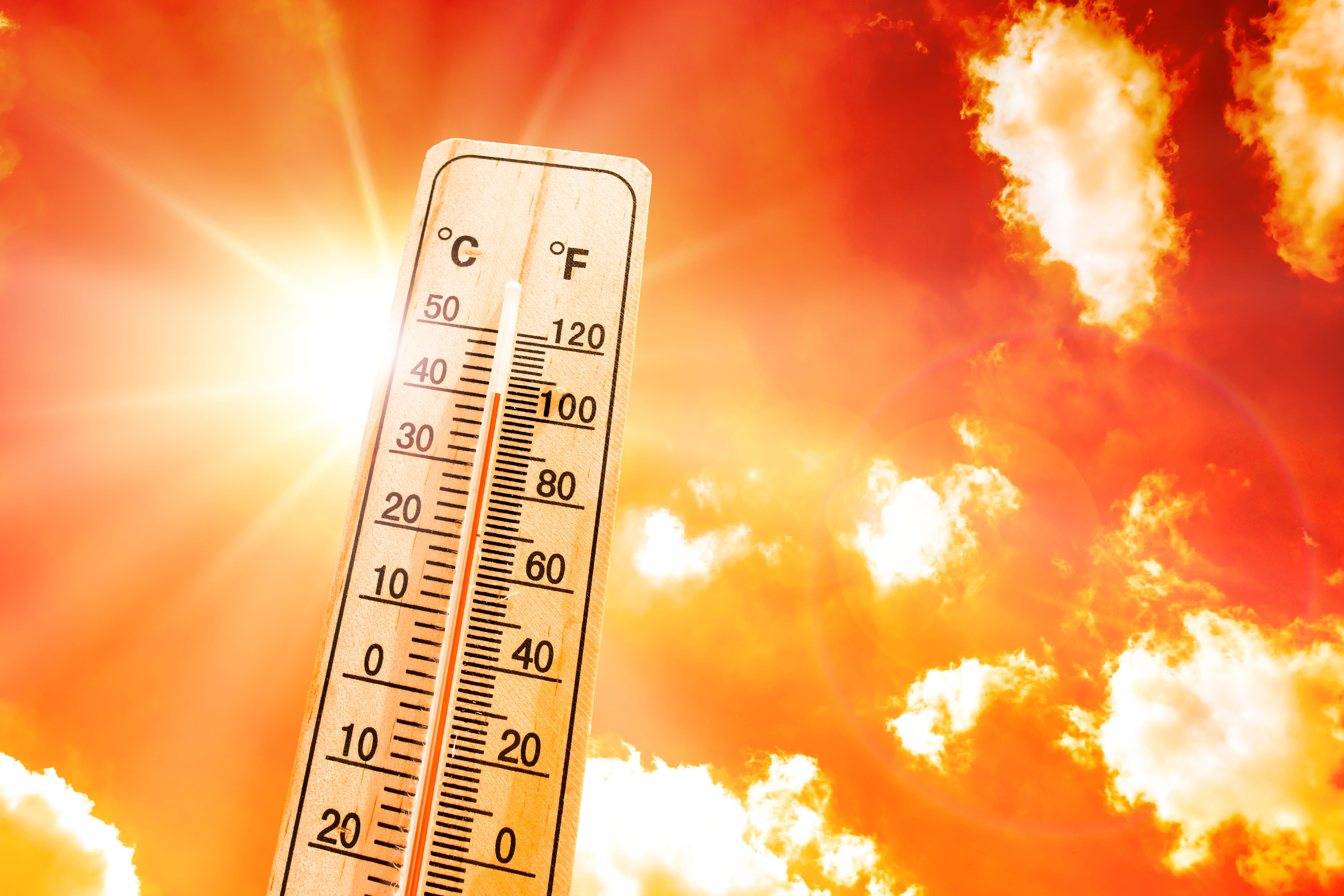 Какой год был самый жаркий. Жара. Сильная жара. Солнце термометр. Аномальная жара.