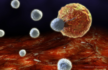 T Cells