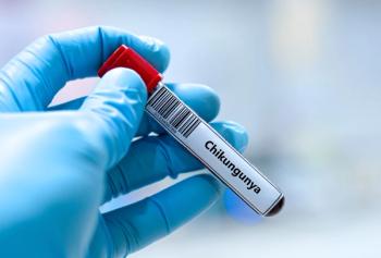 kitsawet-stock@adobe.com