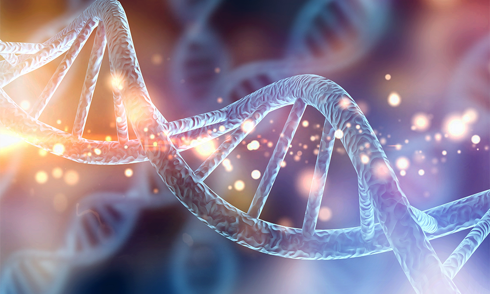 Unlike most prior melanoma genetics research, which selected participants based on personal or family cancer history, this study identified individuals by genetic findings first. | Image credit: stock.adobe.com