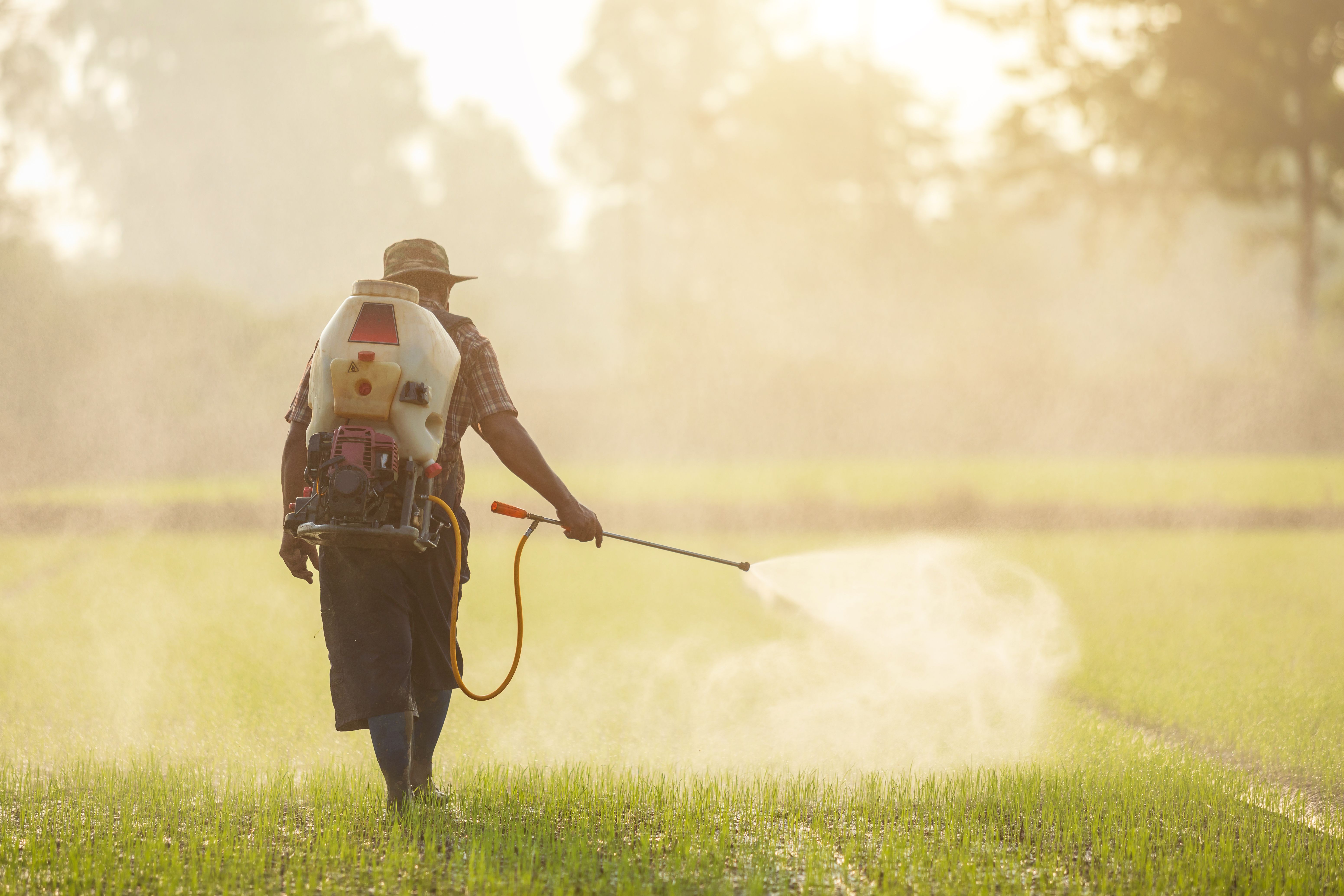 Study Reveals Association Between Adult Male Exposure to Insecticides, Decline in Sperm Concentration Study Reveals Association Between Adult Male Exposure to Insecticides, Decline in Sperm Concentration