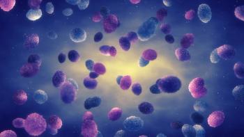 nobeastsofierce-stock.adobe.com