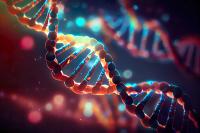 While national coverage determinations were associated with meaningful gains in testing across nearly all five cancer types, testing overall remained far short of guideline-recommended levels, particularly for NGS, the study concluded.  | Image credit: Radomir Jovanovic - stock.adobe.com