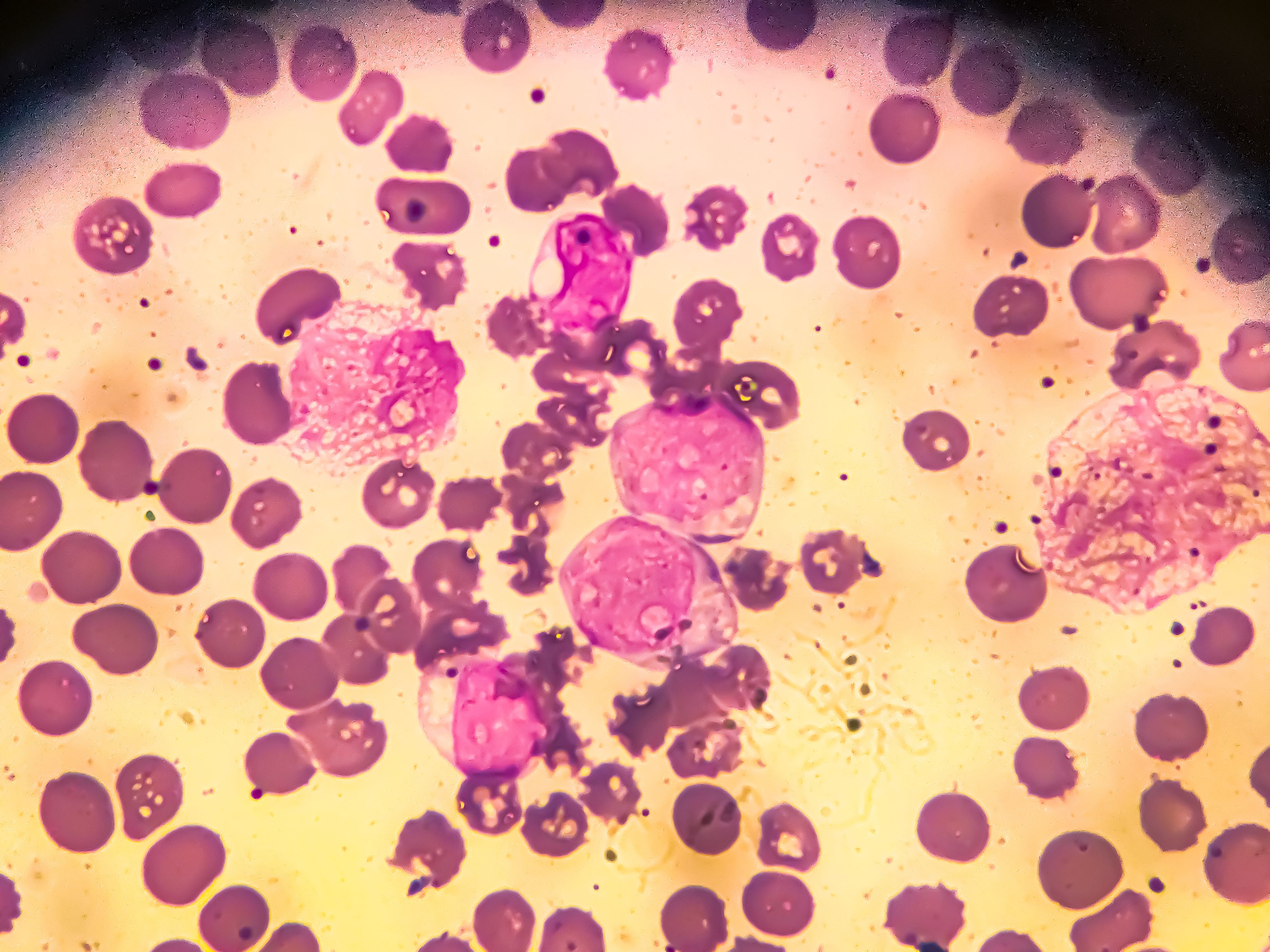 © Arif Biswas - stock.adobe.com